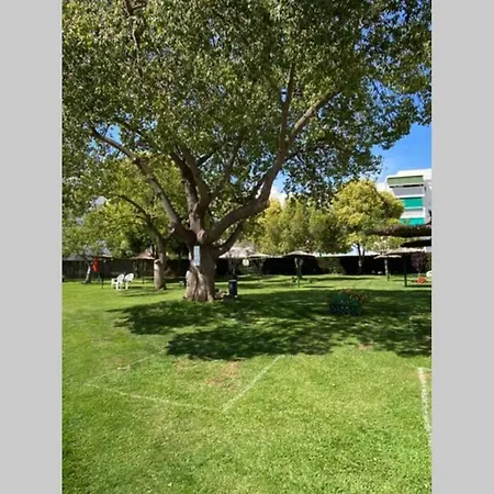 Apartamento Piso Completamente Reformado, A Estrenar En Urb. Parque Antena, Estepona